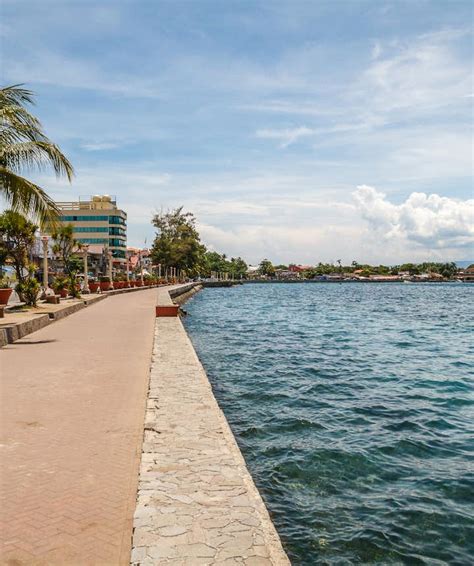 dumaguete tourist spots|Top Dumaguete Tourist Spots: Diving with Turtles in Apo Island .